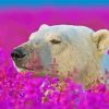 Bear In Lavender Field Diamond Paintings