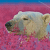 Bear In Lavender Field Diamond Paintings