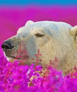 Bear In Lavender Field Diamond Paintings