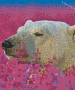 Bear In Lavender Field Diamond Paintings