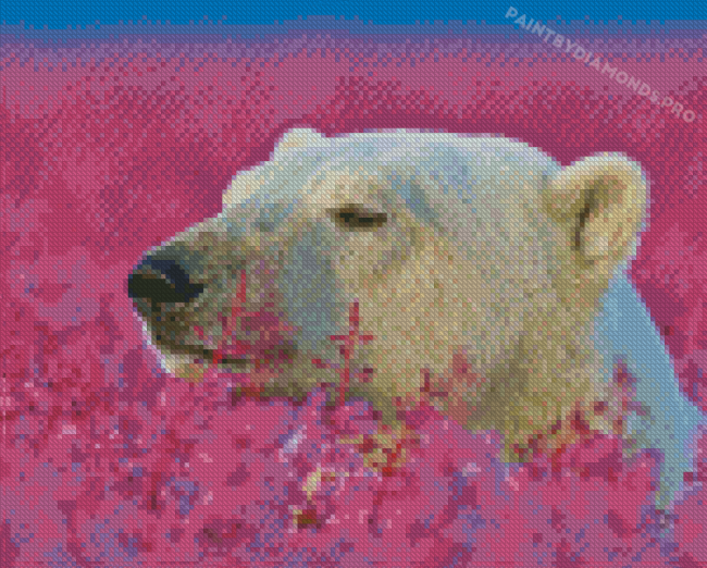 Bear In Lavender Field Diamond Paintings