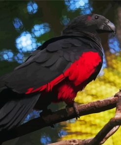 Beautiful Pesquet's Parrot Diamond Painting