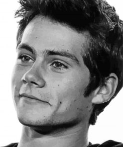 Black And White Dylan Obrien Diamond Paintings