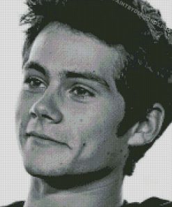 Black And White Dylan Obrien Diamond Paintings