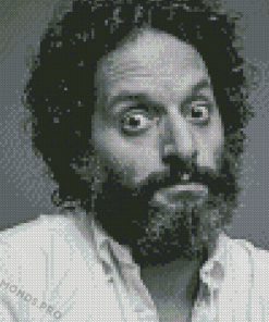 Black And White Jason Mantzoukas Diamond Paintings