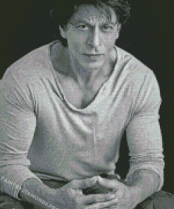 Black And White Shahrukh Khan Diamond Paintings