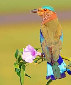 Blue Indian Roller Diamond Paintings