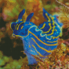 Blue Sea Slug Diamond Paintings