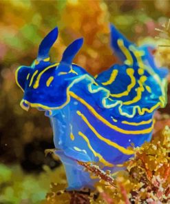 Blue Sea Slug Diamond Paintings