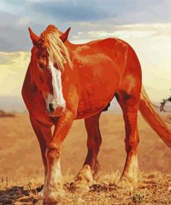 Brown Alone Horse Diamond Paintings