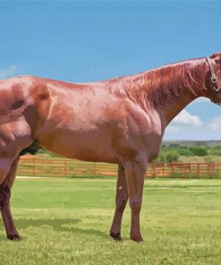 Brown Quarter Horse Diamond Painting