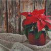 Cool Poinsettia Diamond Paintings