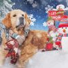 Cute Christmas Dog Snow Diamond Painting