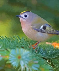 Cute Goldcrest Bird Diamond Paintings