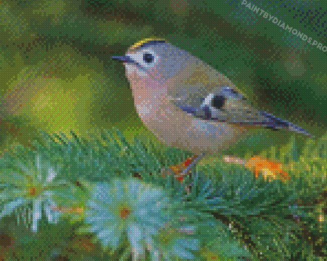 Cute Goldcrest Bird Diamond Paintings