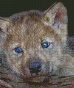 Cute Wolf Pup Diamond Paintings