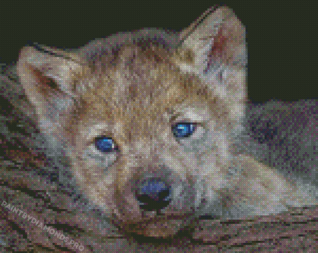 Cute Wolf Pup Diamond Paintings