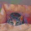 Cute Cat Hiding In The Box Diamond Paintings