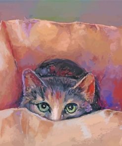 Cute Cat Hiding In The Box Diamond Paintings