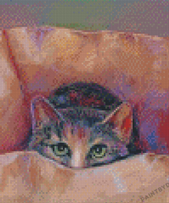 Cute Cat Hiding In The Box Diamond Paintings