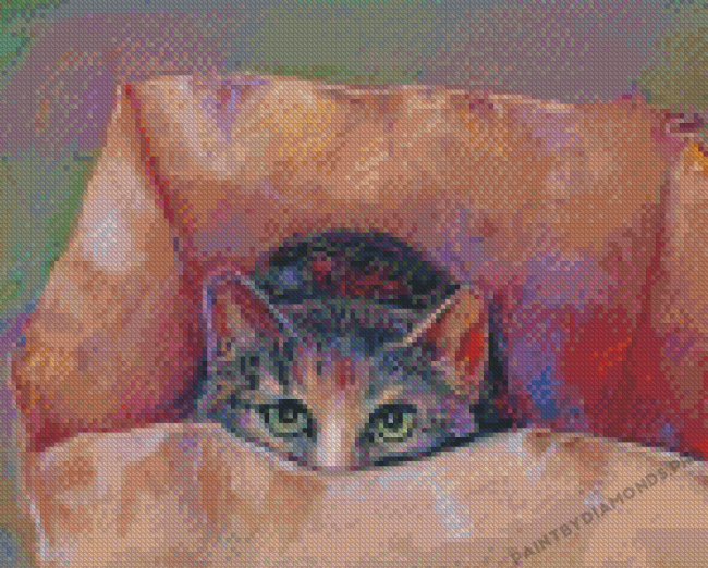 Cute Cat Hiding In The Box Diamond Paintings