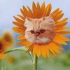 Cute Cat Sunflower Head Diamond Paintings