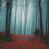 Dark Foggy Forest Diamond Paintings