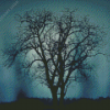 Dead Night Tree Diamond Paintings