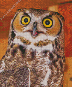 Fierce Owl Animal Diamond Paintings