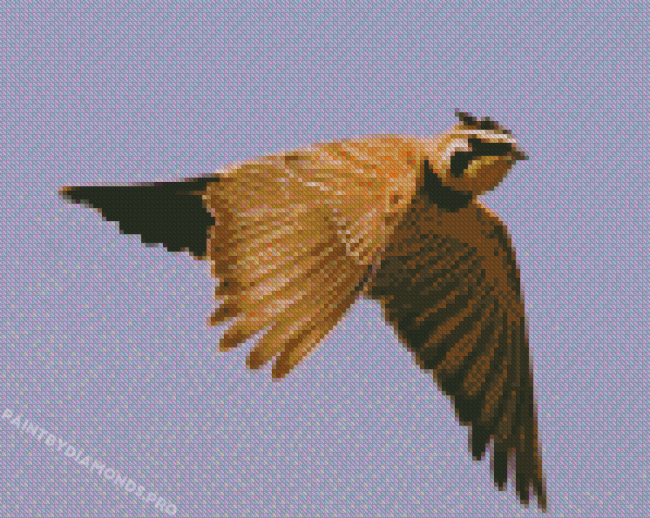 Flying Veery Bird Diamond Paintings