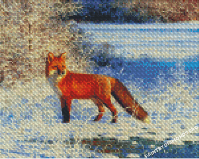 Fox In Snow Diamond Paintings