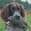 Hunting Dog With Pheasant Diamond Paintings