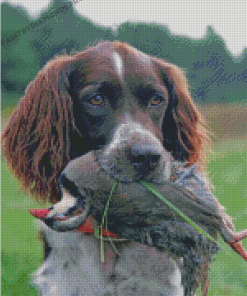 Hunting Dog With Pheasant Diamond Paintings