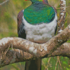 Kereru New zealand Pigeon Diamond Painting