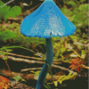 Lonely Blue Mushroom Diamond Paintings