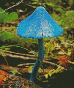 Lonely Blue Mushroom Diamond Paintings