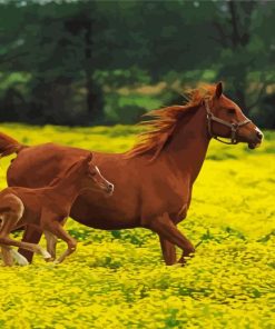 Mom Horse With Child Diamond Paintings