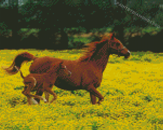 Mom Horse With Child Diamond Paintings