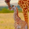 Mommy And Baby Giraffe In The Jungle Diamond Paintings