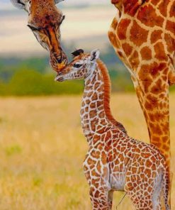 Mommy And Baby Giraffe In The Jungle Diamond Paintings