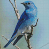 Mountain Blue Bird On Stick Diamond Painting