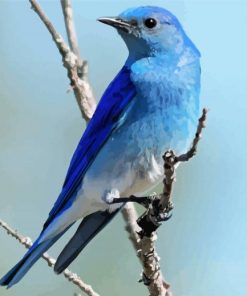 Mountain Blue Bird On Stick Diamond Painting