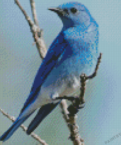 Mountain Blue Bird On Stick Diamond Painting