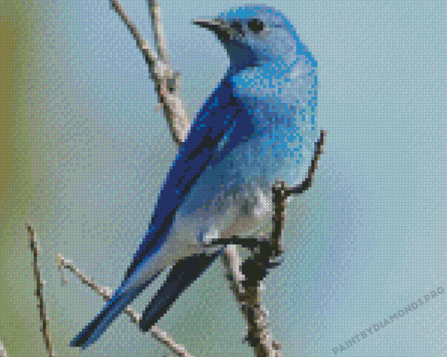 Mountain Blue Bird On Stick Diamond Painting