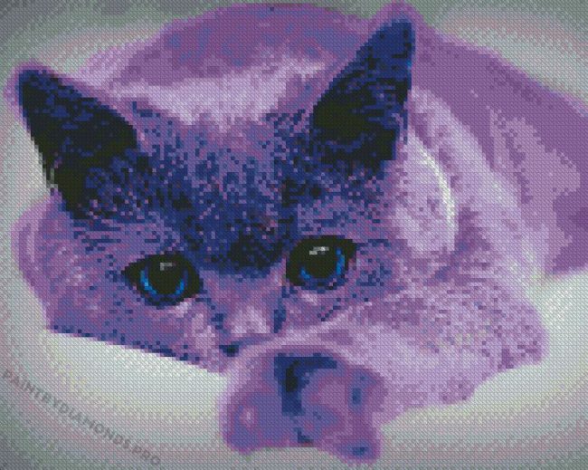 Purple Cat Diamond Paintings