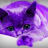 Purple Cat Diamond Paintings