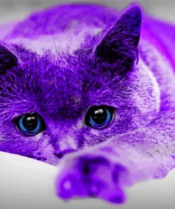 Purple Cat Diamond Paintings