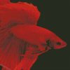 Red Betta Fish Diamond Paintings