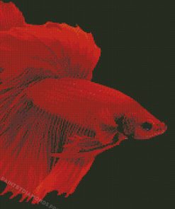 Red Betta Fish Diamond Paintings