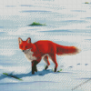 Red Fox In Snow Art Diamond Paintings